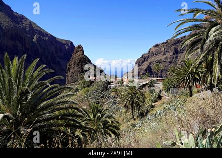 Village de montagne Masca, Masca gorge, Montana Teno Mountains, Tenerife, Îles Canaries, Espagne, Europe, Un petit village entouré de montagnes et Banque D'Images