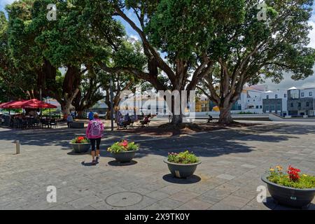 Une place spacieuse avec de grands arbres, des fleurs colorées dans des boîtes et les gens visitant un café à proximité, la ville côtière de Ribeira Grande, Santa Barbara Banque D'Images