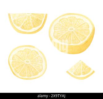 Tranches de citrons jaunes pastel et ensemble d'illustration demi-aquarelle de fruits. Agrumes coupés et ronds pour les produits à base de vitamine C. Banque D'Images