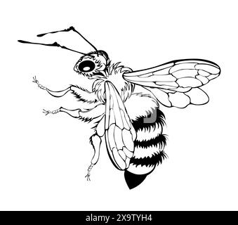 Artistiquement dessiné, moelleux, abeille profilée sur fond blanc. Illustration de Vecteur