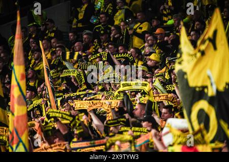 Fans/Ultras Borussia Dortmund ENG, Borussia Dortmund vs Real Madrid, Fussball, Ligue des Champions, finale, saison 2023/2024, 01.06.2024 Foto : Eibner-Pressefoto/Marcel von Fehrn Banque D'Images