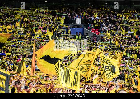 Fans/Ultras Borussia Dortmund ENG, Borussia Dortmund vs Real Madrid, Fussball, Ligue des Champions, finale, saison 2023/2024, 01.06.2024 Foto : Eibner-Pressefoto/Marcel von Fehrn Banque D'Images