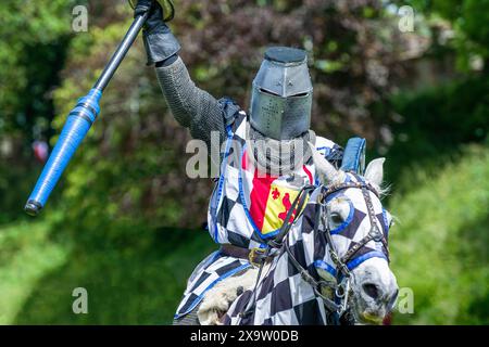 Sir Sam salue la foule. The Joust, Cardiff, Royaume-Uni. 15 juin 2019 Banque D'Images