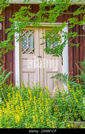 Porte en bois sur un croft rouge avec des fleurs jaunes dans le jardin envahi Banque D'Images