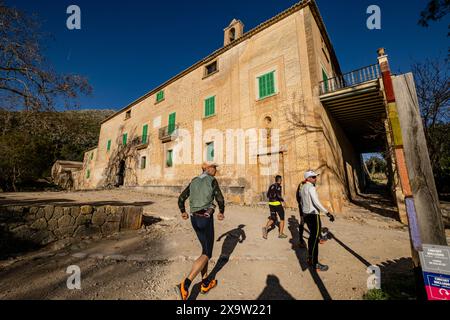 finca Galatzó, Calviá, Sierra de Tramuntana, Majorque, Iles Baléares, Espagne Banque D'Images