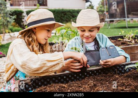 Fille et garçon prenant soin de petites plantes de légumes dans un lit surélevé, tenant une petite pelle. Enfance en plein air dans le jardin. Banque D'Images