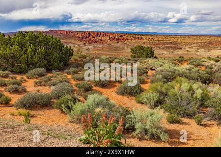 Ceci est une vue du paysage spectaculaire du désert vu depuis Panorama point dans le nord du parc national des Arches, Moab, Grand County, États-Unis. Banque D'Images