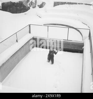 Aktuell 07-08-1946 : Margaret Bergersen fra Bergen. Eventyrlig flink 11-åring. Hun var 11 år da krigen brøt ut og som 13-åring kom Hun i kontakt Med hjemmefronten. Hun reddet hundrevis av russiske krigsfanger og 8 ganger ble hunn arrêert. Nå Bor Hun hos den sovjetiske handelsattasjeen i påvente av reise til Sovjetunionen. Foto : th. Skotaam / Aktuell / NTB ***Foto er ikke bildebehandlet*** le texte de cette image est traduit automatiquement Banque D'Images