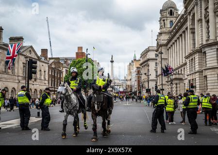 Police montée dans le Whitehall, Londres, Angleterre, Royaume-Uni Banque D'Images