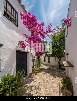 Maisons à Castella Del Frontera. Banque D'Images