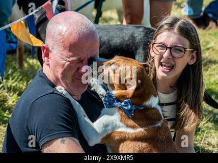 Un chien lèche le visage de son maître tandis que la fille de l'homme regarde et rit à un spectacle country dans le North Yorkshire en Angleterre. Banque D'Images