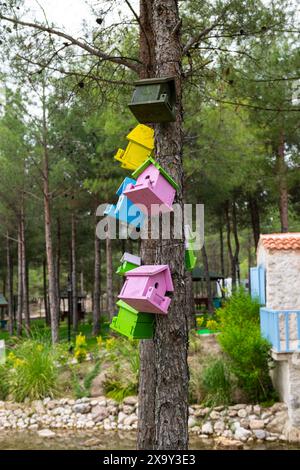 Nids d'oiseaux colorés suspendus à un arbre dans le parc de la ville. Banque D'Images