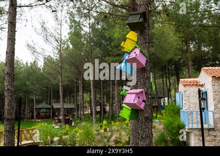 Nids d'oiseaux colorés suspendus à un arbre dans le parc de la ville. Banque D'Images
