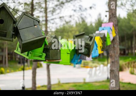 Nids d'oiseaux colorés suspendus à une corde dans le parc de la ville. Mise au point sélective. Banque D'Images