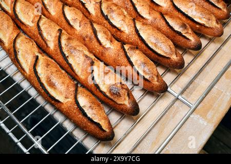 Véritable tradition baguette française dans une boulangerie - Paris - France Banque D'Images