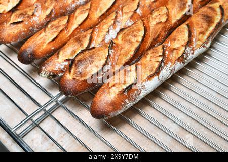 Véritable tradition baguette française dans une boulangerie - Paris - France Banque D'Images