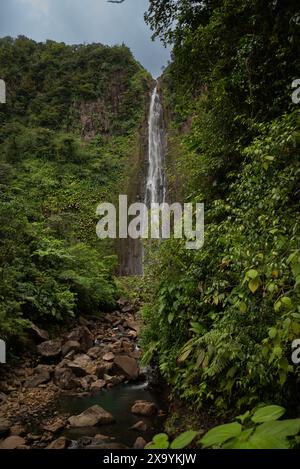 Cascade de cascades à travers la jungle luxuriante avec des rochers et du feuillage Banque D'Images