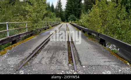 Un pont routier forestier éloigné avec des traverses de chemin de fer abandonnées menant à la forêt dense sur une partie Clo Banque D'Images