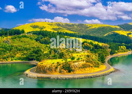 Paysage marin de Dunedin Bay, Nouvelle-Zélande Banque D'Images