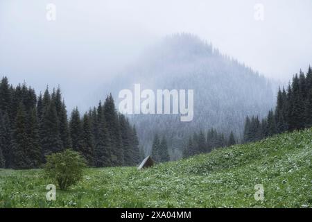 un belvédère solitaire, un abri dans un pré de montagne au printemps lors d'une chute de neige soudaine, la neige repose sur les sapins et l'herbe verte. Banque D'Images