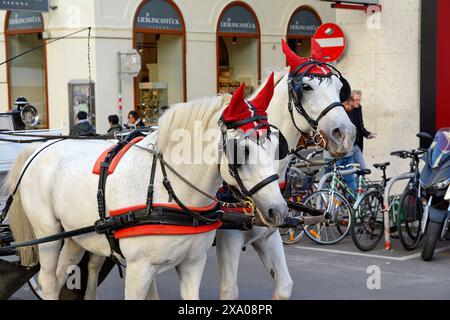 Vienne, Autriche, novembar, 06. 2023. Chevaux de Vienne en rouge dans la rue Banque D'Images