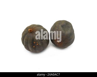 Persan séché, lime noire limu amani isolé sur fond blanc Banque D'Images