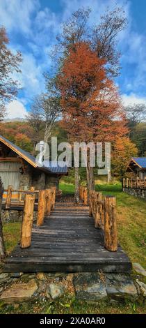 Pont en bois sur un petit étang avec une maison en arrière-plan Banque D'Images