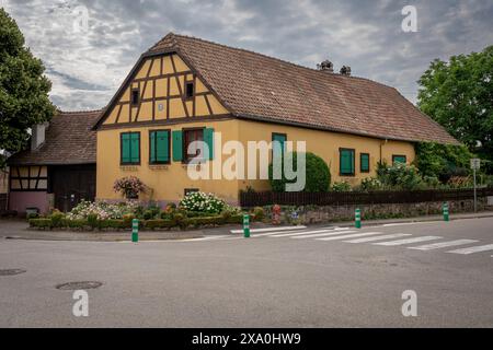 Goxwiller, France - 06 29 2023 : vue d'une maison alsacienne colorée typique dans une rue de Goxwiller Banque D'Images