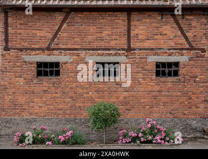 Goxwiller, France - 06 29 2023 : vue d'un vieux mur de briques rouges avec des lucarnes brisées et des fleurs en face dans une rue de Goxwiller Banque D'Images