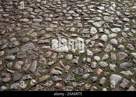 Un fond d'un trottoir en pierre naturelle de forme ovale de lilas clair, de couleur grise. Banque D'Images