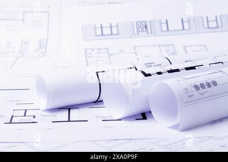 Plan de construction. Dessin de schéma enroulé dans un rouleau. Planification de la rénovation de la maison.. Banque D'Images