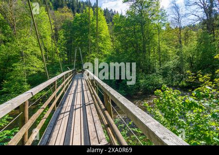 Wutach : Wutachschlucht (gorge de Wutach), rivière Wutach, pont Rümmelesteg à Schwarzwald, Forêt Noire, Bade-Württemberg, Allemagne Banque D'Images