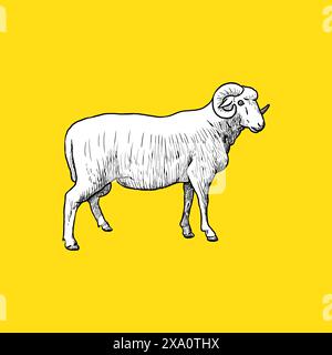 Côté mouton vintage. Esquisse et style de mise en plan. Illustration de Vecteur