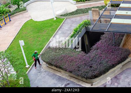 un jardinier taille les pelouses dans la région, vue de dessus. Pattaya, Thaïlande -01.23.2024 Banque D'Images