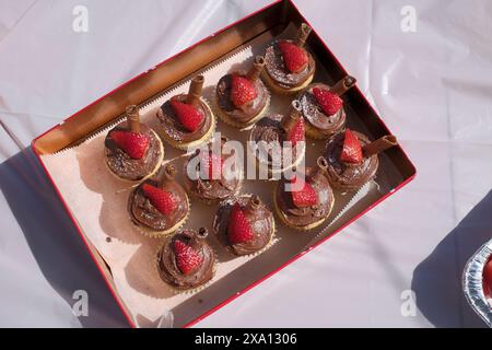 Cupcakes au chocolat avec crème fouettée et fraises sur le dessus Banque D'Images