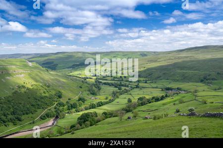 Vue sur Swaledale depuis Kisdon Hill depuis Muker au début de l'été. Parc national des Yorkshire Dales, Royaume-Uni. Banque D'Images