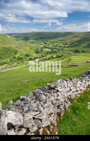 Vue sur Swaledale depuis Kisdon Hill depuis Muker au début de l'été. Parc national des Yorkshire Dales, Royaume-Uni. Banque D'Images