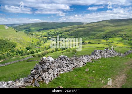 Vue sur Swaledale depuis Kisdon Hill depuis Muker au début de l'été. Parc national des Yorkshire Dales, Royaume-Uni. Banque D'Images