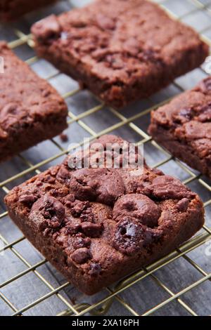 Un gros plan o brownies au chocolat sur une grille dans une cuisine Banque D'Images