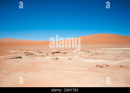 Paysage désertique aride avec des dunes de sable rouge sous un ciel bleu clair Banque D'Images