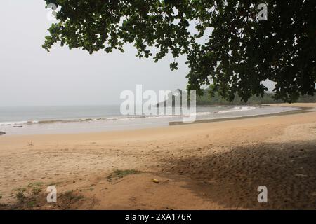 Une scène de plage tranquille au Ghana avec un arbre en surplomb fournissant de l'ombre. Les vagues calmes de l'océan tapent doucement contre la rive sablonneuse, créant un calme Banque D'Images