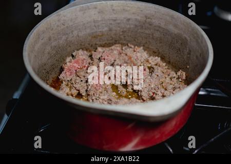 Un ragoût en cuisson sur cuisinière avec de la viande et des légumes en casserole Banque D'Images