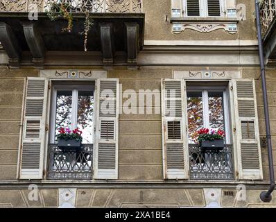 Détail de la façade d'un ancien palais dans le style Art Nouveau avec des décorations boréales autour des fenêtres et cyclamen en pot, Turin, Piémont, Italie Banque D'Images