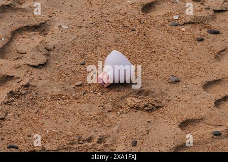 Morceau de bouteille en plastique sur la plage Banque D'Images