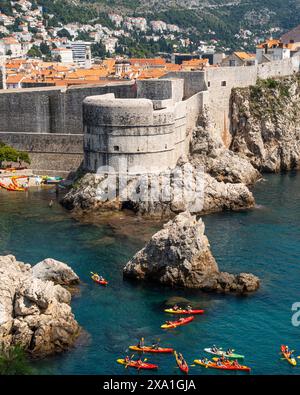 Vue panoramique mettant en valeur le charme historique et la beauté architecturale de la vieille ville de Dubrovnik en Croatie. Banque D'Images