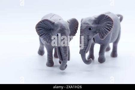 Gros plan de deux éléphants jouets en plastique sur fond blanc Banque D'Images