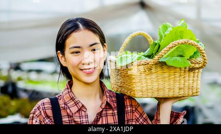 Femme asiatique travaillant en serre Banque D'Images