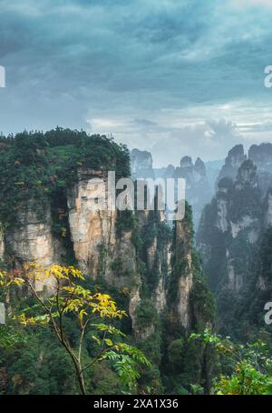 Les majestueuses formations rocheuses du parc forestier national de Zhangjiajie, en Chine Banque D'Images