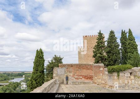 Un ancien château avec escalier avant, entouré d'arbres et d'une rivière à Ciudad Rodrigo, Salamanque, Castilla y Leon, Espagne Banque D'Images