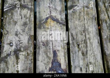 Gros plan détaillé des surfaces en bois vieilli Banque D'Images